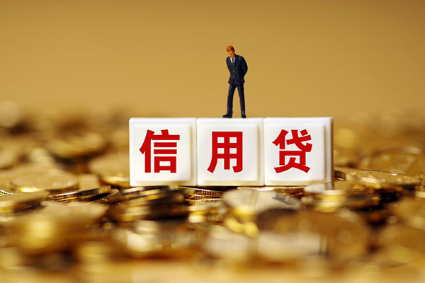 成都郫都哪里可以借私借-成都郫都个人贷款都有哪些平台-成都郫都小额贷款