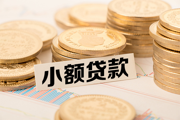 成都郫都个人借贷好吗-成都郫都正规小额贷款-成都郫都小额私人借贷